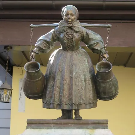 Homely Place Poznania