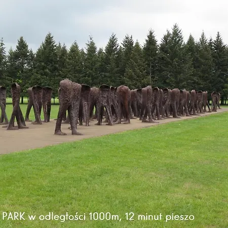 Апартаменти Homely Place Koziolki - Stary Rynek